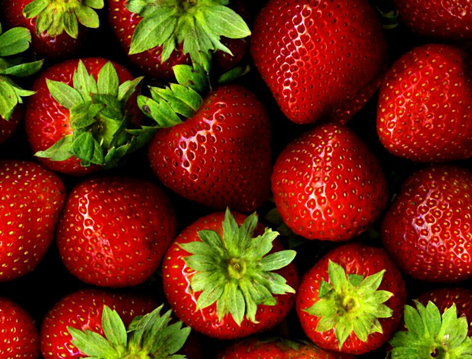 Strawberries_21-1